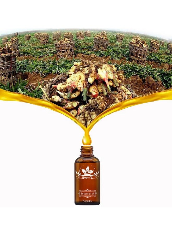 Vamotto - 2 Pack Ginger Oil for Lymphatic Drainage, Vamotto Ginger Essential Oil for Swelling and Pain Skin Body Massage, Ginger Massage Oil Essential, SPA Ginger Essential Oils, Ginger Body Oil 30ML/Bottle - Image 1