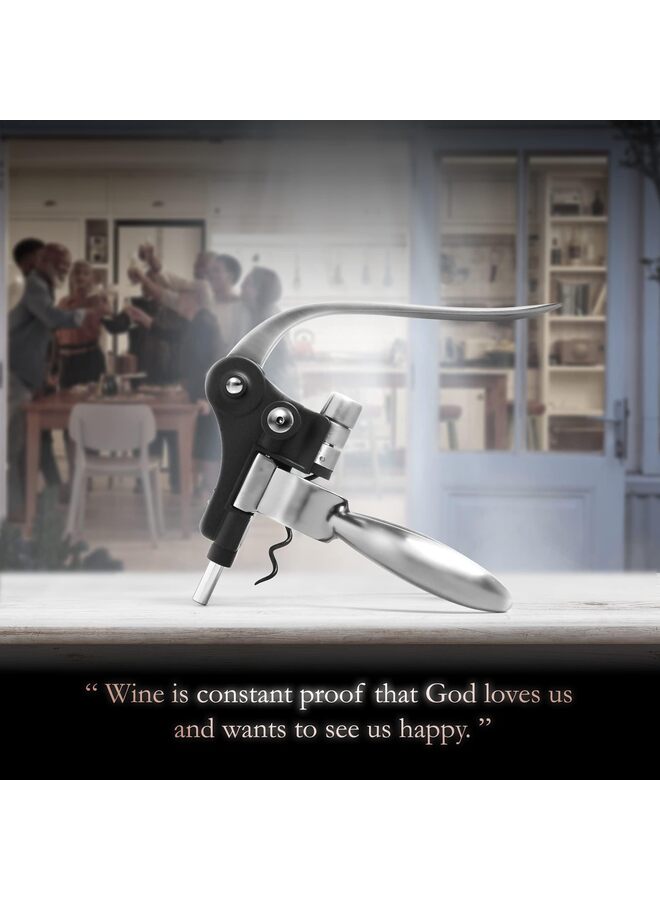 Wine Opener Set, Red Wine Corkscrew Bottle Opener Accessories Manual Wine Remover Tool Kit Stopper with Foil Cutter, Corkscrew Spiral and Gift Box - Image 3