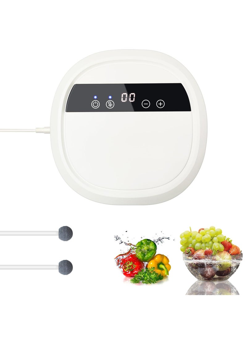 SYOSI Ozone Generator for Water, Air Purifier Household Negative Ion Purifier, Multipurpose Fruit and Vegetable Meat Cleaning Ozone Machine, Remove Odor for Home and Car, with 12V Converter, 600mg/h - Image 1