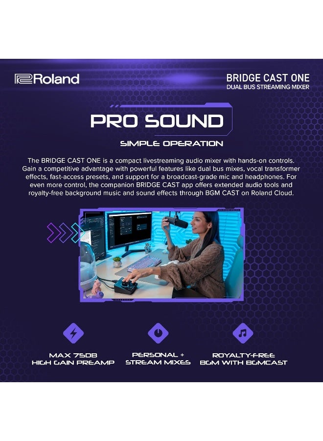 Roland BRIDGE CAST ONE Dual Bus Streaming Mixer | Compact Audio Streaming Mixer for Online Gamers & Content Creators | 32-Bit Hardware DSP | USB-C Connectivity - Image 3