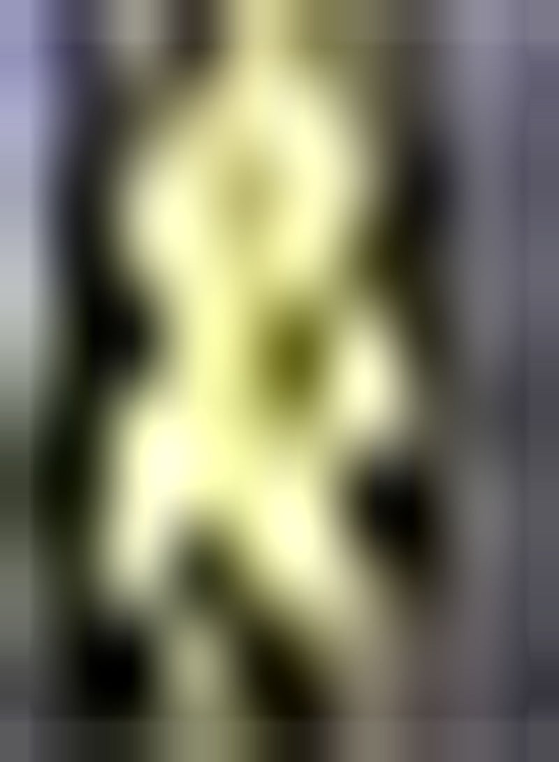 GGOOT 10Stück Gelbe Canna Liliensamen Gartendekoration Zierpflanze exotisches Erbstück Canna im tropischen Stil dauerhaft blühende Einstiegssorte - Image 2