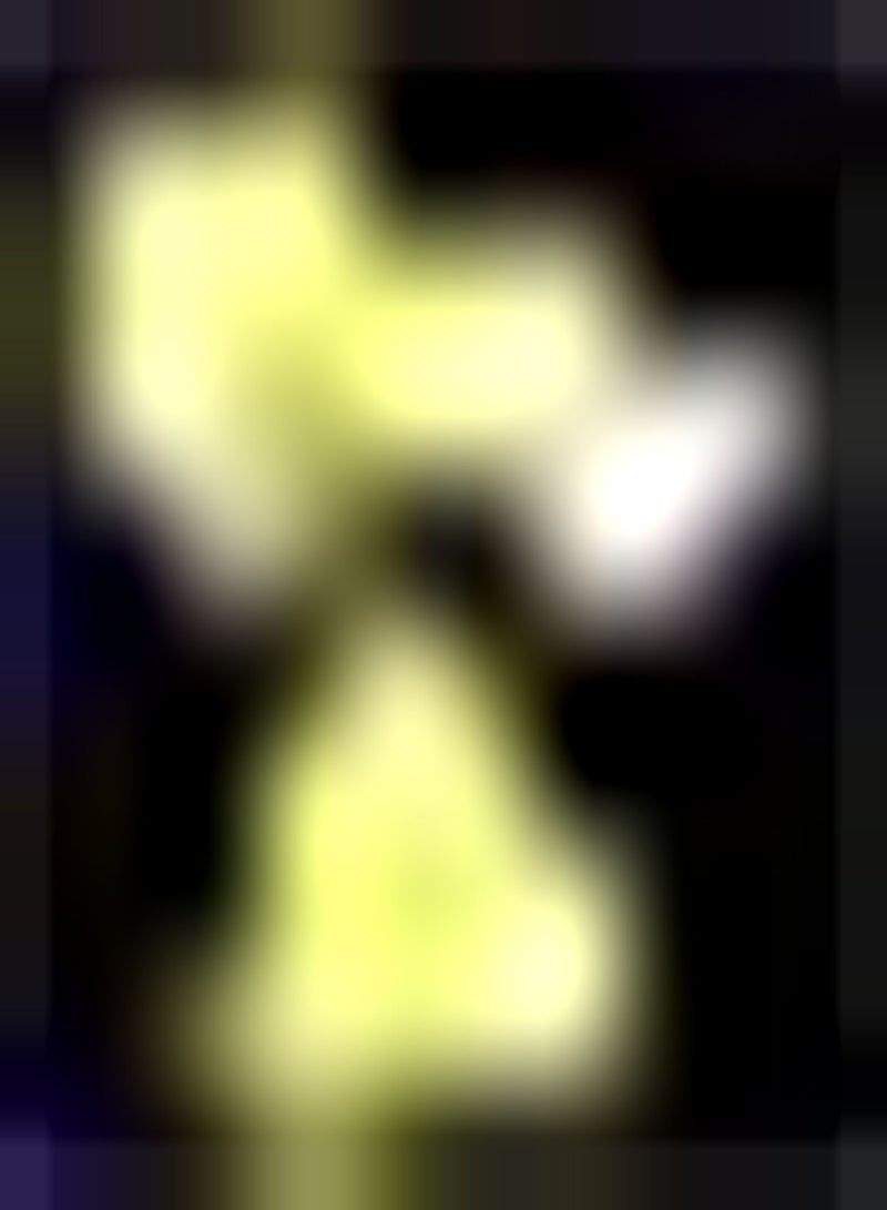 GGOOT 10Stück Gelbe Canna Liliensamen Gartendekoration Zierpflanze exotisches Erbstück Canna im tropischen Stil dauerhaft blühende Einstiegssorte - Image 1