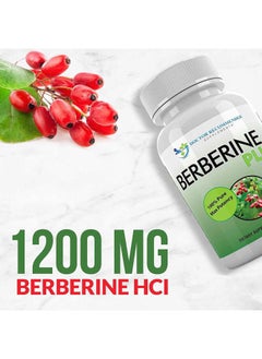 DOCTOR RECOMMENDED SUPPLEMENTS Berberine Plus 1200mg Per Serving - 120 Veggie Capsules Royal Jelly, Supports Healthy Immune System, Improves Cardiovascular Heart & Gastrointestinal Wellness (Pack of 2)  - Image 3