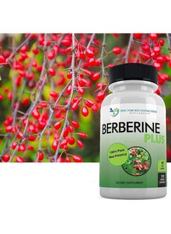DOCTOR RECOMMENDED SUPPLEMENTS Berberine Plus 1200mg Per Serving - 120 Veggie Capsules Royal Jelly, Supports Healthy Immune System, Improves Cardiovascular Heart & Gastrointestinal Wellness (Pack of 2)  - Image 4