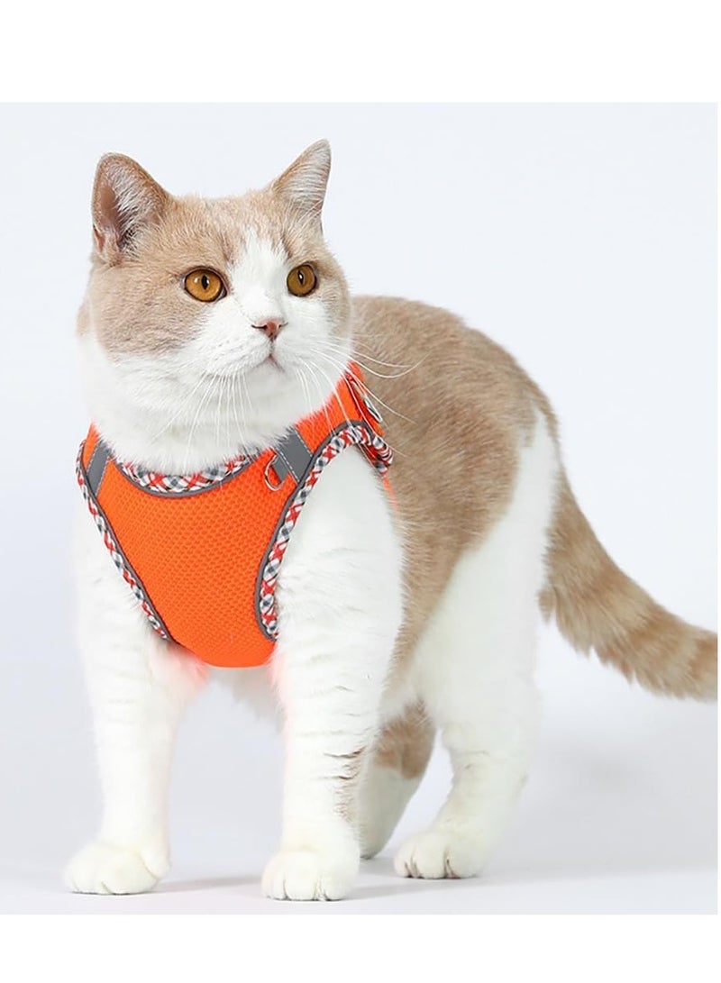 فيبارتي تسخير للكلاب الصغيرة والمتوسطة ، لا يوجد حزام جرو ومجموعة مقود ، حزام سهل المشي للكلاب للمشي والجري والتدريب ، صغير مريح وحزام متوسط ، قابل للتعديل ، متين ، مثالي للاستخدام اليومي - Image 2