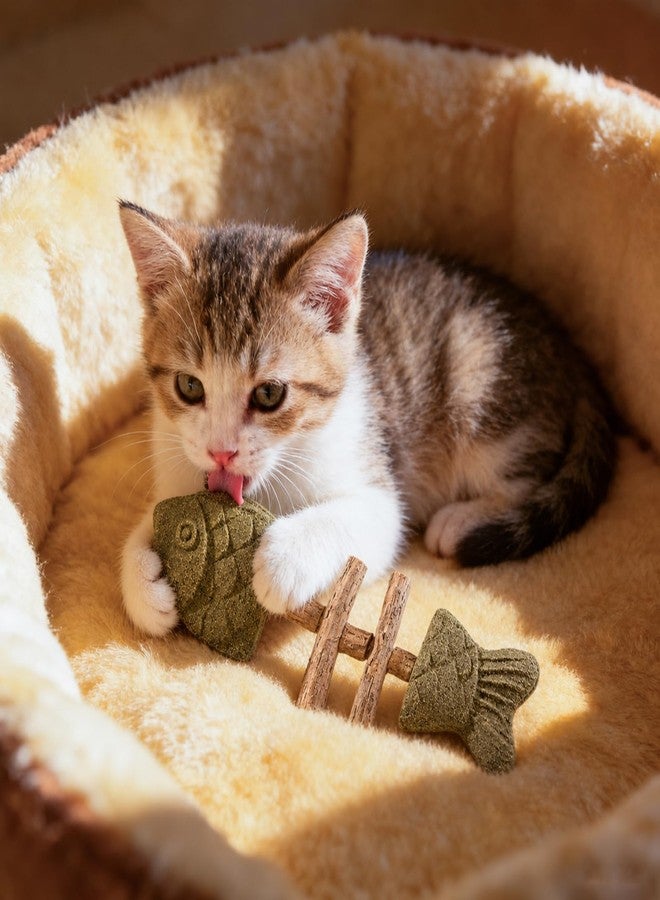 3Pcs Catnip and Silvervine Chew, Fishbone Cat Dental Chew Toy, Cat Chew Stick for Teething, Boredom Relief & Daily - Image 2