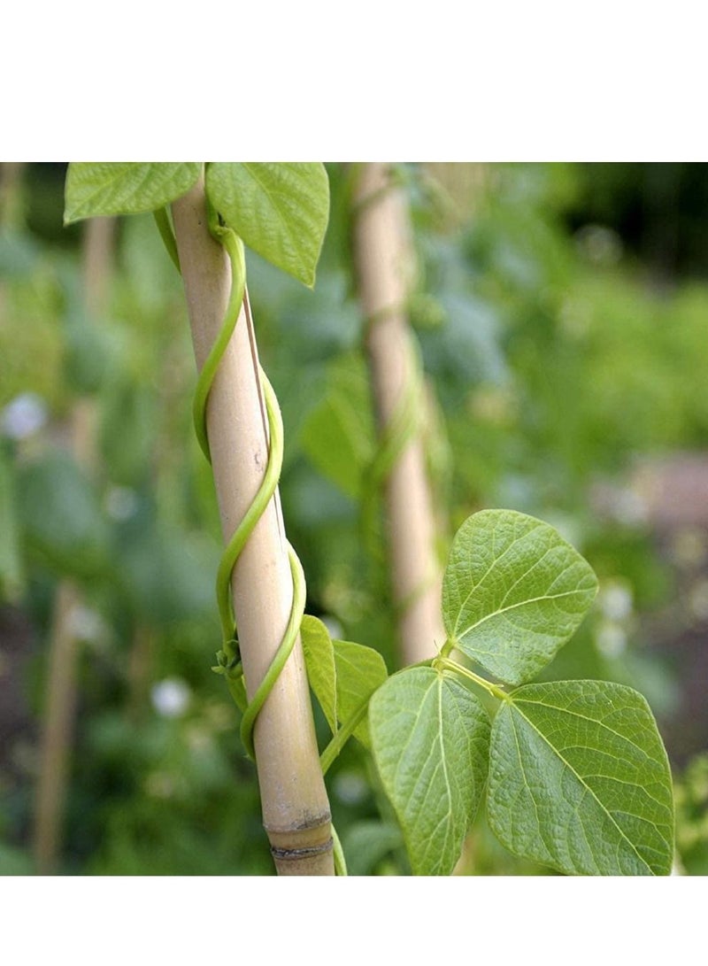 LINGWEI Bamboo Garden Poles Professional Strong Heavy Duty Gardening Sticks Plants Support Trellises Natural Bamboo Poles Flower Home Indoor Outdoor Trellis 10pcs  - Image 3