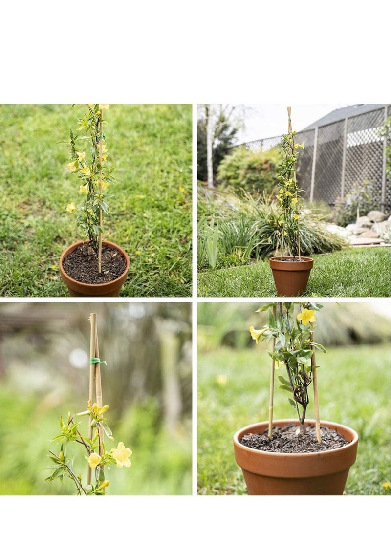 LINGWEI Bamboo Garden Poles Professional Strong Heavy Duty Gardening Sticks Plants Support Trellises Natural Bamboo Poles Flower Home Indoor Outdoor Trellis 10pcs  - Image 4