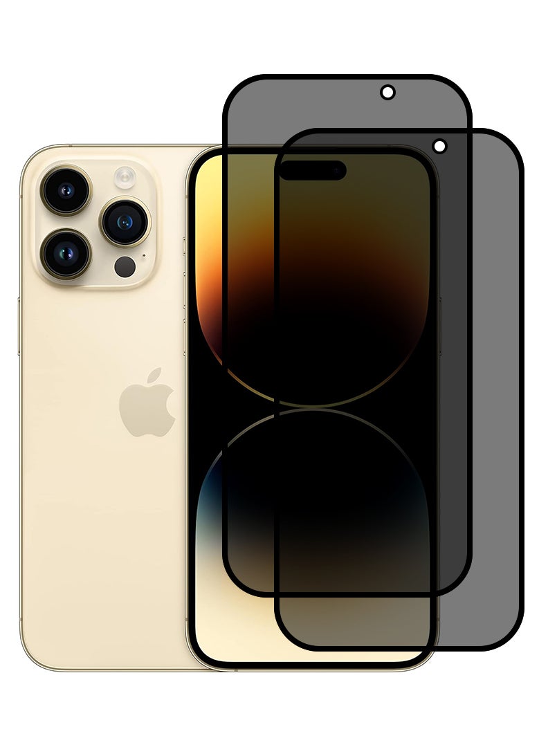 Theodor Pack of 2 Tempered Glass Screen Protector With 9H hardness For APPLE IPHONE 15 PRO Privacy 6.1 - Image 1