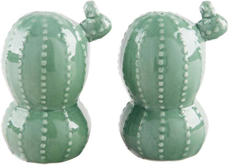 Home Essentials Cactus Shape Salt And Pepper Kitchen Accessories Set of 2