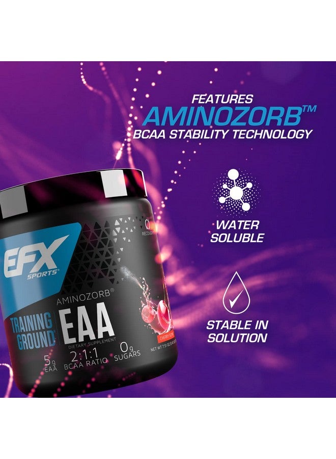 EFX SPORTS مكمل الأحماض الأمينية الأساسية Eaa ; ساحة التدريب ; الطاقة وتخليق البروتين ; قبل أو أثناء أو بعد التمرين ; 40 حصة (قنبلة الكرز) - Image 4
