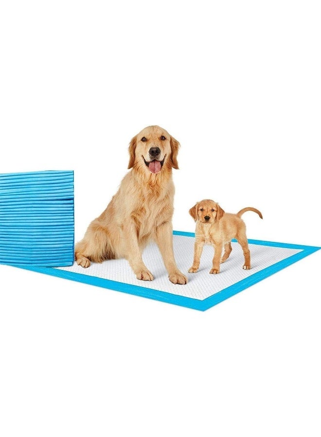 SHOWAY وسادات شواي القابلة للاستخدام مرة واحدة الممتصة سريعة التجفيف المقاومة للتسرب لتدريب الحيوانات الأليفة على الحمام، 45X60 سم - 50 قطعة - Image 1