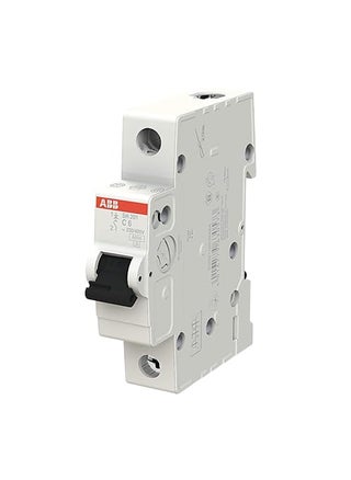 ABB 10K MCB 6A SP MCB Single Pole C Curve Pack of 1 SW201MC6 - pzsku/ZEFF47E4B018A3EE173E0Z/45/1748243587/8db531ab-019e-48b9-a9f8-0d355bb43649