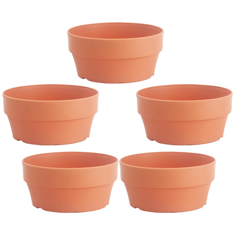 5Pcs Round Plastic Flowerpots 16Cm Diameter Shallow Planters with Drainage Holes for Succulents Garden Plants Indoor Outdoor - Image 2