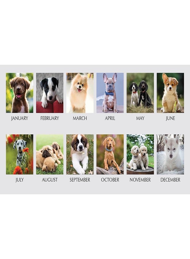 House of Doolittle 2026 Earthscapes Puppy 8.5" x 4.25" Monthly Desktop Tent Calendar (3659-26) - Image 2