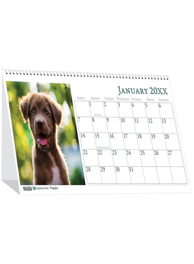 House of Doolittle 2026 Earthscapes Puppy 8.5" x 4.25" Monthly Desktop Tent Calendar (3659-26) - Image 1