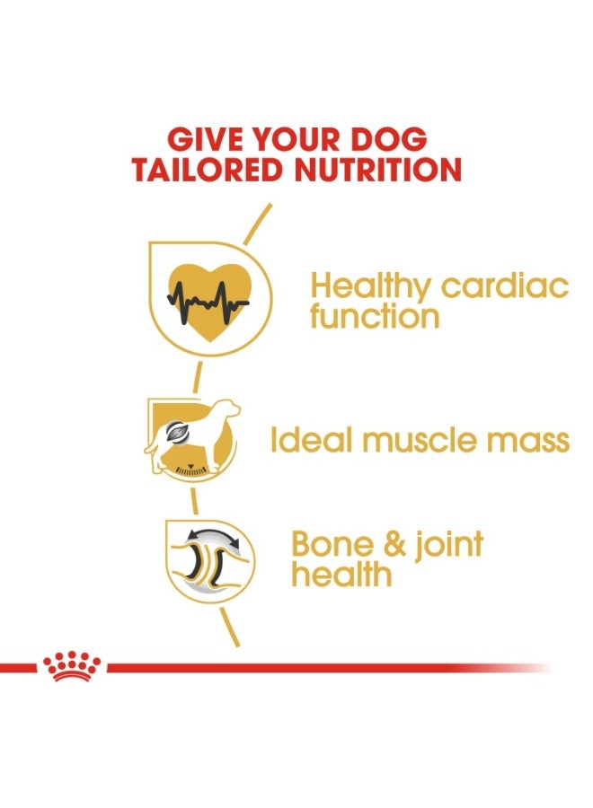 ROYAL CANIN Breed Health Nutrition Rottweiler Adult 12 KG - Image 3