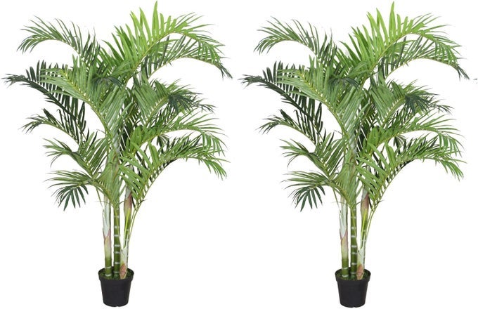 Pack of Two2 Gorgeous 6 Feet Tropical Palm Trees Artificial Silk Plant with UV Protection with Nursery Plastic Pots Feel Real Technology Super Quality