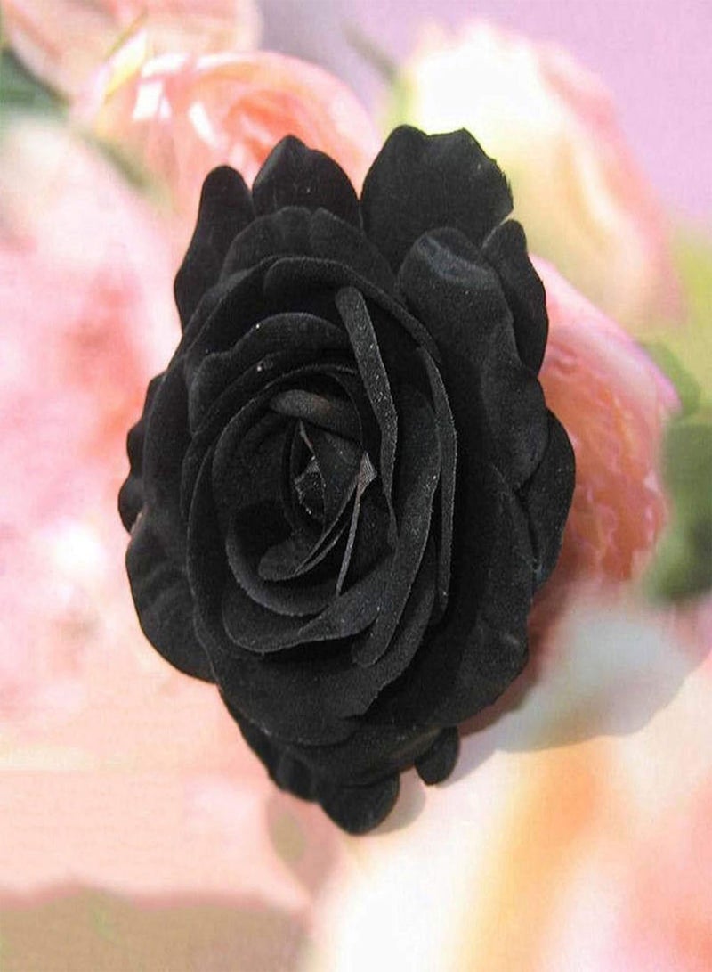 GGOOT 100Pcs Premium Flower Seeds, Rose Seeds Rustic Eye-catching Lightweight Black Rose Seeds for Balcony Black - Image 5