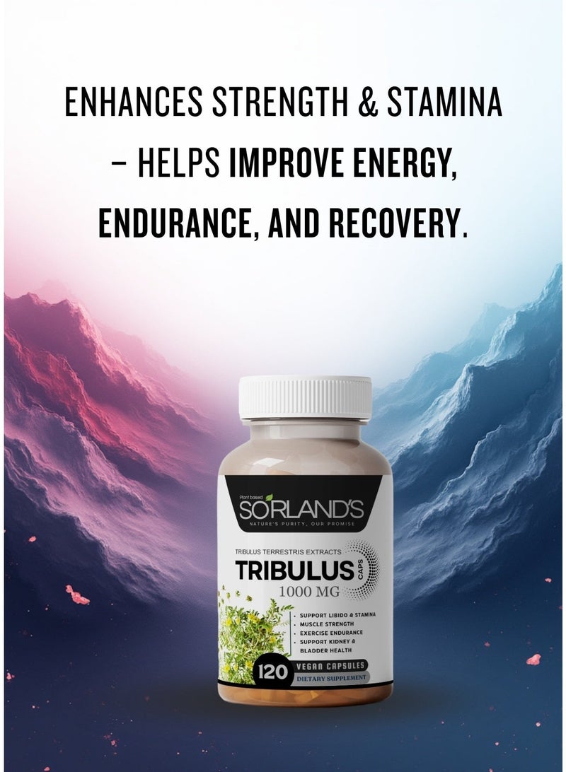 Sorland's مستخلص التريبولوس تيريستريس الفاخر - معزز طبيعي للتستوستيرون، طاقة، قدرة على التحمل، ودعم الأداء - ١٢٠ كبسولة نباتية | خالٍ من الإضافات، والمواد المالئة، والمواد الحافظة، وغير معدل وراثيًا، والمواد الكيميائية - Image 5