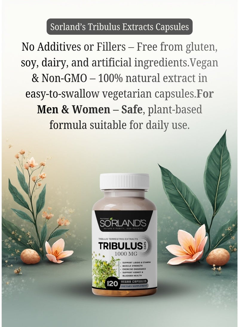 Sorland's مستخلص التريبولوس تيريستريس الفاخر - معزز طبيعي للتستوستيرون، طاقة، قدرة على التحمل، ودعم الأداء - ١٢٠ كبسولة نباتية | خالٍ من الإضافات، والمواد المالئة، والمواد الحافظة، وغير معدل وراثيًا، والمواد الكيميائية - Image 2