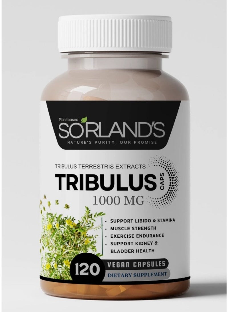 Sorland's مستخلص التريبولوس تيريستريس الفاخر - معزز طبيعي للتستوستيرون، طاقة، قدرة على التحمل، ودعم الأداء - ١٢٠ كبسولة نباتية | خالٍ من الإضافات، والمواد المالئة، والمواد الحافظة، وغير معدل وراثيًا، والمواد الكيميائية - Image 1