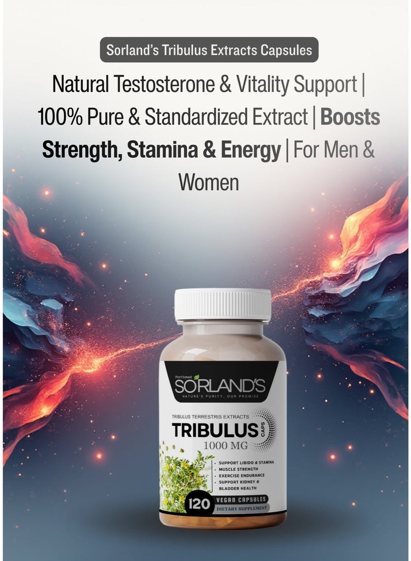 Sorland's مستخلص التريبولوس تيريستريس الفاخر - معزز طبيعي للتستوستيرون، طاقة، قدرة على التحمل، ودعم الأداء - ١٢٠ كبسولة نباتية | خالٍ من الإضافات، والمواد المالئة، والمواد الحافظة، وغير معدل وراثيًا، والمواد الكيميائية - Image 3