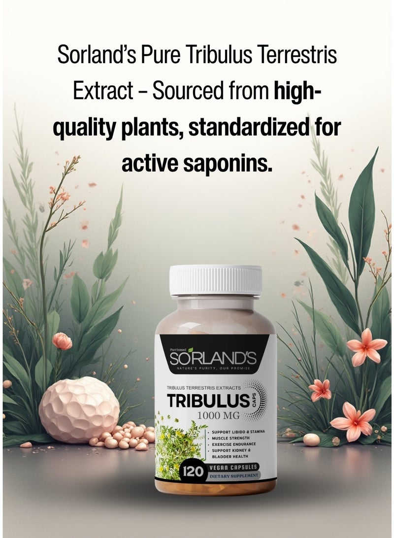 Sorland's مستخلص التريبولوس تيريستريس الفاخر - معزز طبيعي للتستوستيرون، طاقة، قدرة على التحمل، ودعم الأداء - ١٢٠ كبسولة نباتية | خالٍ من الإضافات، والمواد المالئة، والمواد الحافظة، وغير معدل وراثيًا، والمواد الكيميائية - Image 4