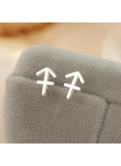 نيبمينينت Under Banyan Tree S925 Silver Simple Twelve Constellation Stud Earrings Female Temperament Light Luxury Niche Design Personalized Cold Style 