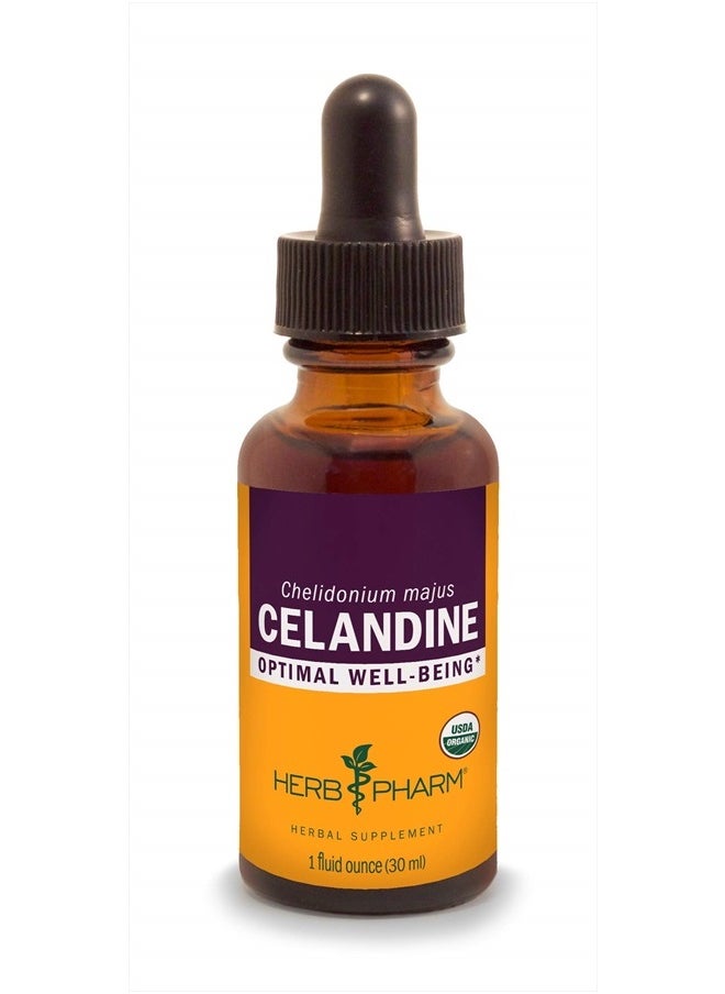 HERB PHARM - Certified Organic Celandine Liquid Extract, 1 Fl Oz - Image 1