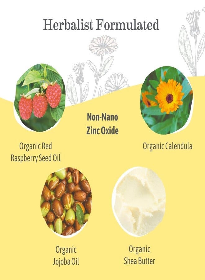 Earth Mama Tinted Mineral Sunscreen Lotion SPF 40, Contains Organic Argan and Red Raspberry Seed Oil, 3-Ounces - Image 3