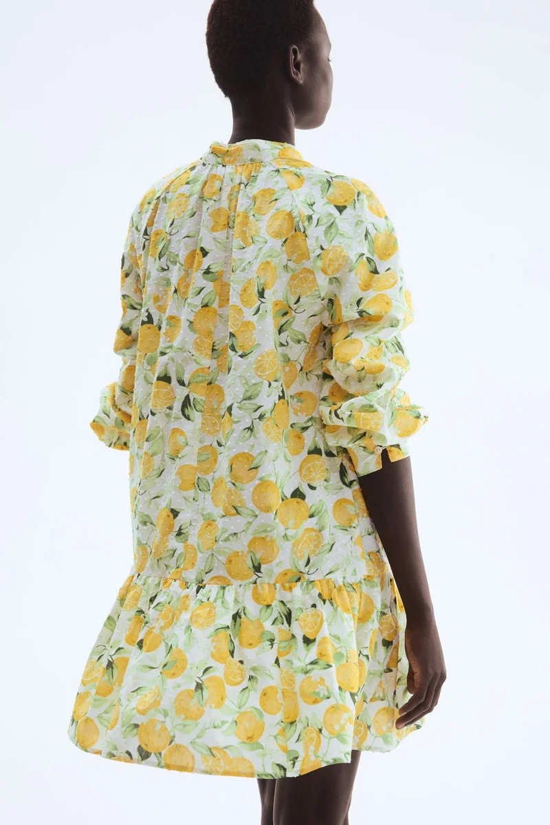 H&M Plumeti dress