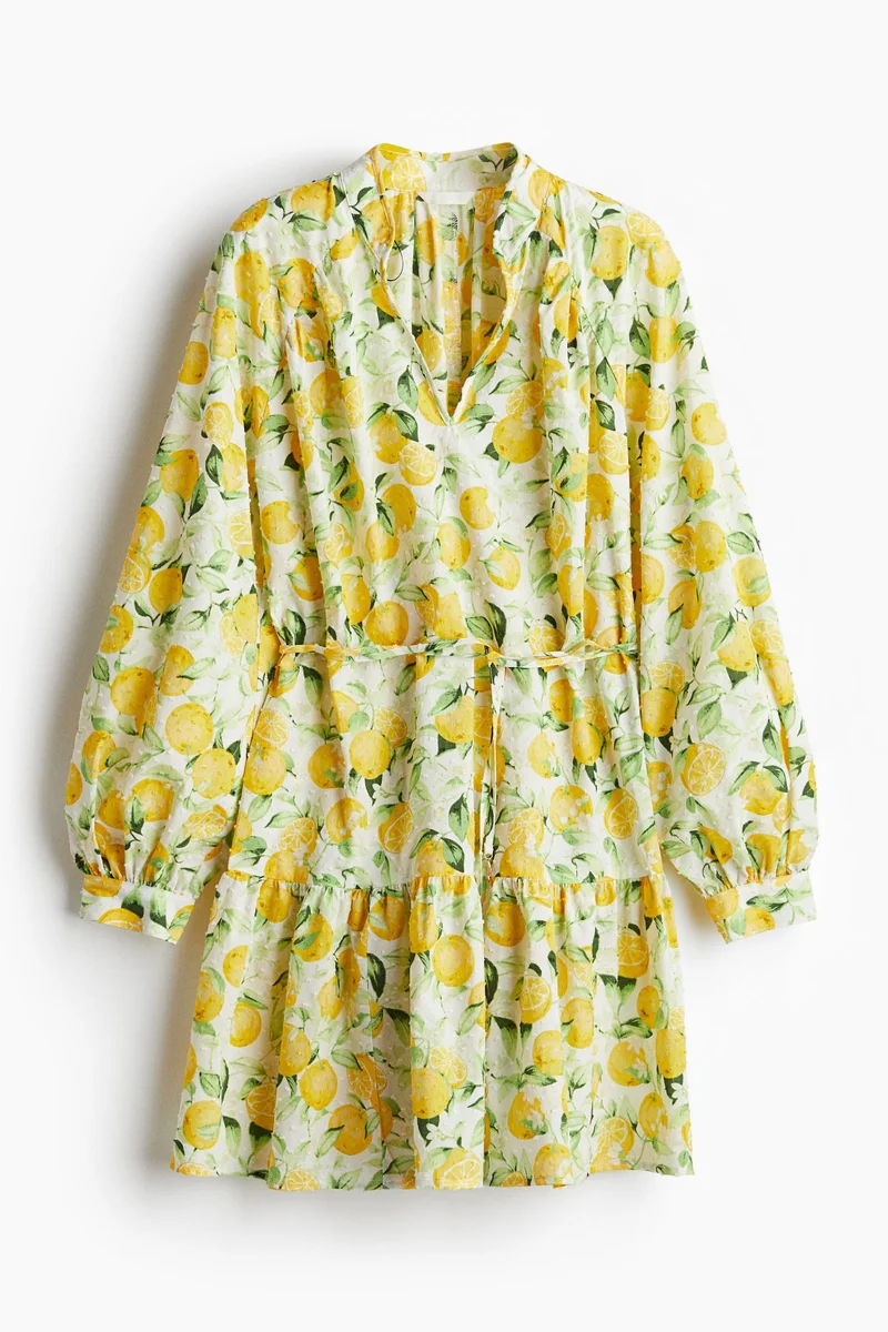 H&M Plumeti dress
