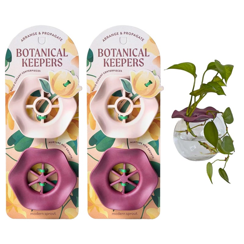 Modern Sprout Item Name:Modern Sprout Botanical Keeper for Floral Arranging & Plant Propagation - Eco-Friendly, BPA-Free, Sustainable Materials - Hydration Tray - Gift for Plant Lovers and Gardeners - 2 Pack - Image 1