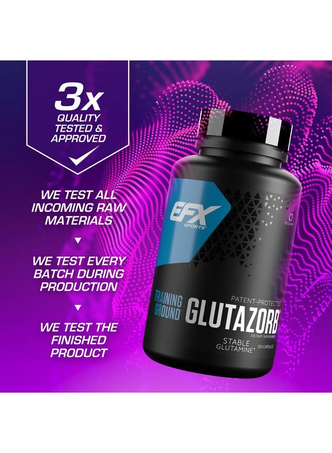 EFX Sports Training Ground Glutazorb Caps | Highly Concentrated, pH Correct Glutamine Pill Supplement | Digestion & Immune Support | 60 Servings, 120 Capsules - Image 4