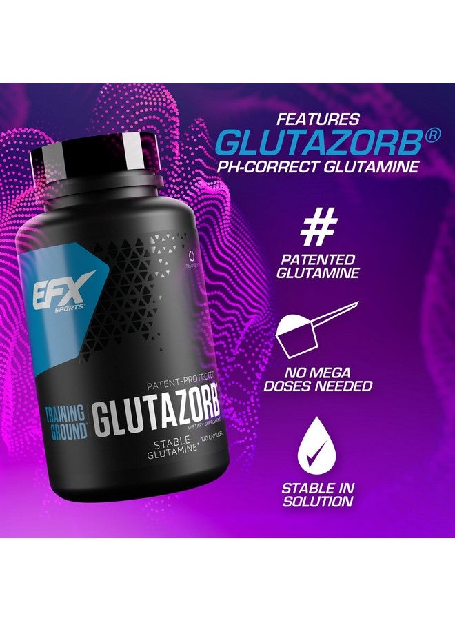 EFX Sports Training Ground Glutazorb Caps | Highly Concentrated, pH Correct Glutamine Pill Supplement | Digestion & Immune Support | 60 Servings, 120 Capsules - Image 3