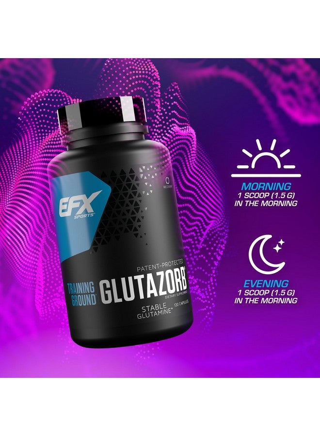 EFX Sports Training Ground Glutazorb Caps | Highly Concentrated, pH Correct Glutamine Pill Supplement | Digestion & Immune Support | 60 Servings, 120 Capsules - Image 5