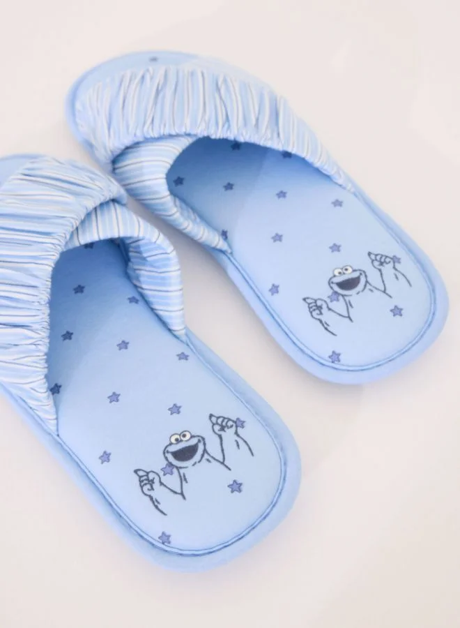 women'secret Open house slippers "Sesame Street"