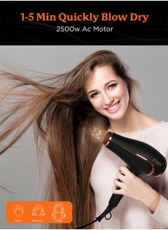 Couture Hair Pro Professional Ionic Hair Dryer 2500 Watts with Powerful Ac Motor - Ultimate Fast Hair Drying  - Image 5