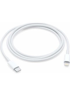 Type C to Apple Lightning Converter Cable 1 Meter
