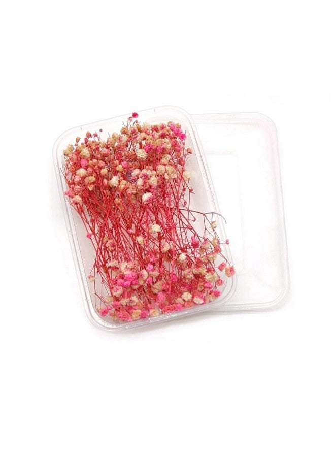 Zarwani 1 Box Natural Real Dried Flowers for Art Craft Mixed Soap, Candle, Scrapbook, DIY, Resin Tray Jewellery, Pendant (White Mix Color) (Baby Breath Pink) - Image 1