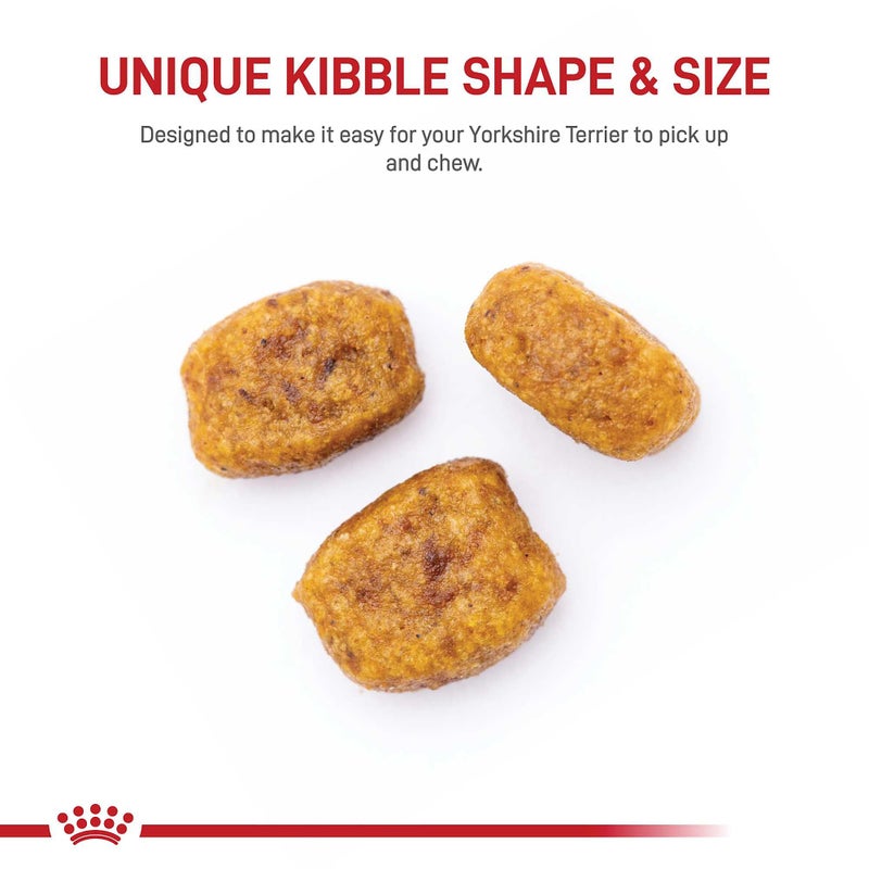 Royal Canin Breed Health Nutrition Yorkshire Terrier Adult Dry Dog Food, 10 lb Bag - Image 2