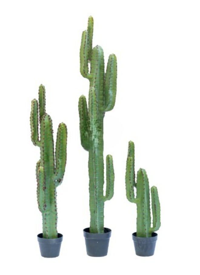 HRT WALL Cactus Cereus medium 115cm (with red needles) - green  - Image 2