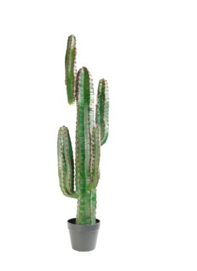HRT WALL Cactus Cereus medium 115cm (with red needles) - green  - Image 1