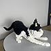alltogetho Cow Cat Model Micro Mini Building Block Toys Sets Enjoy Layered BlackandWhite Patterns with The Dynamic Running Pose - Image 4