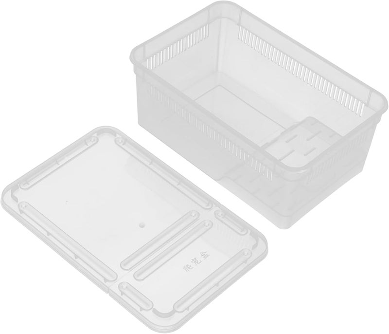 LIFKOME Portable Plastic Reptile Terrarium with Breathable Holes Versatile Snake Feeding Box Turtle Breeding Container for Bearded Spider Care Home and Educational Settings - Image 1