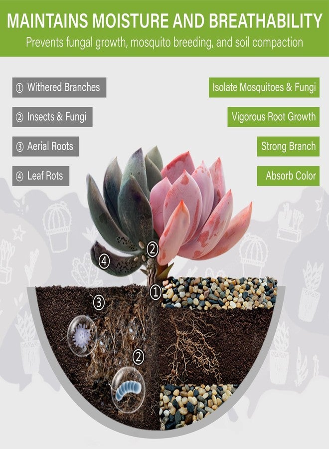 NUPICK 6 lb Aquarium Gravel, 1/4" Ph-Natural Pea Gravel for Fish Tank,Small River Rocks for Plants, Decorative Aquarium Pebbles for Vase Fillers, Landscaping, Succulent, Cactus, Terrarium, Bird Bath - Image 5
