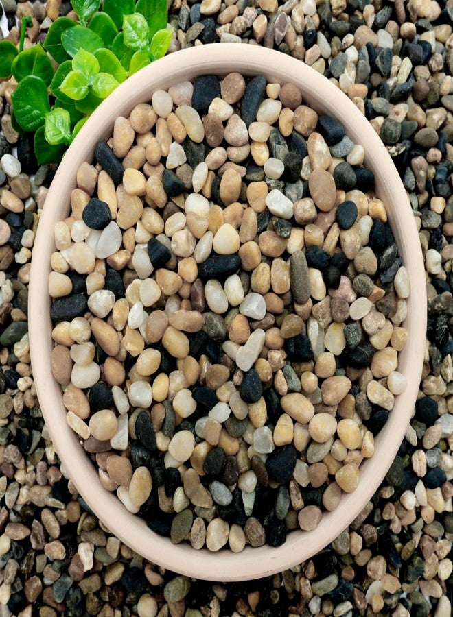 NUPICK 6 lb Aquarium Gravel, 1/4" Ph-Natural Pea Gravel for Fish Tank,Small River Rocks for Plants, Decorative Aquarium Pebbles for Vase Fillers, Landscaping, Succulent, Cactus, Terrarium, Bird Bath - Image 1