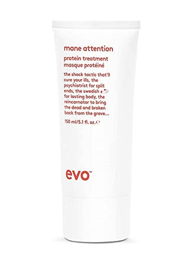 EVO Mane Attention Protein Treatment, 5.1 Fl Oz  - Image 1