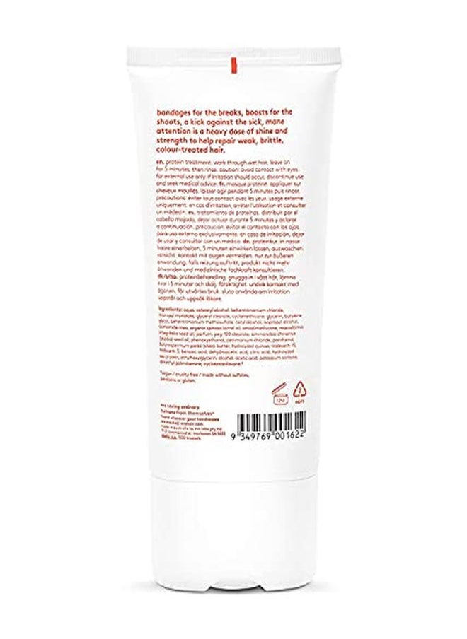 EVO Mane Attention Protein Treatment, 5.1 Fl Oz  - Image 2